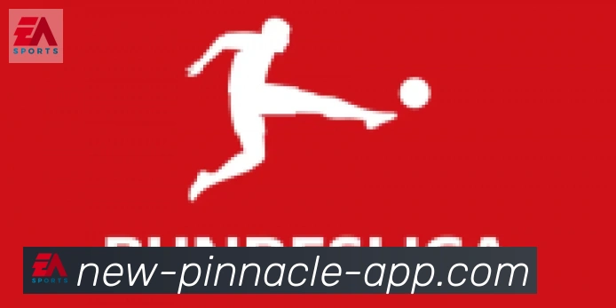 平博pinnacle体育合作伙伴